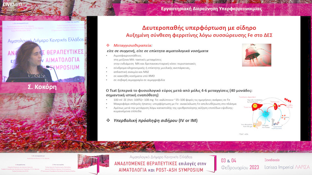 14 Σ. Κοκόρη - Εργαστηριακή Διερεύνηση Υπερφερριτιναιμiας