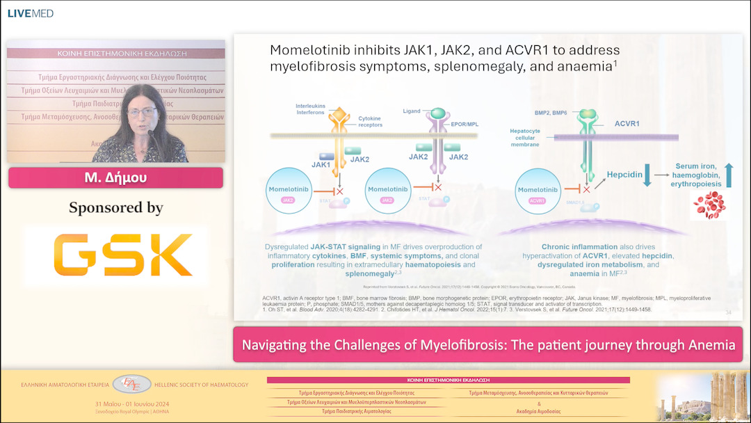 12 Μ. Δήμου - Navigating the Challenges of Myelofibrosis: The patient journey through Anemia