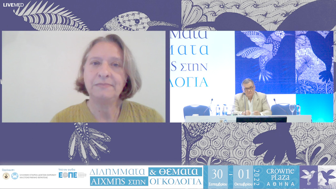 13 Συζήτηση - Σχολιασμός