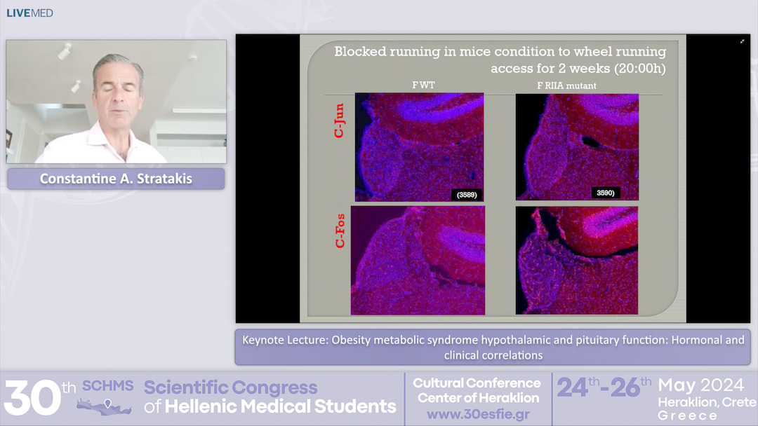66 Constantine A. Stratakis - Obesity metabolic syndrome hypothalamic and pituitary  function: Hormonal and clinical correlations