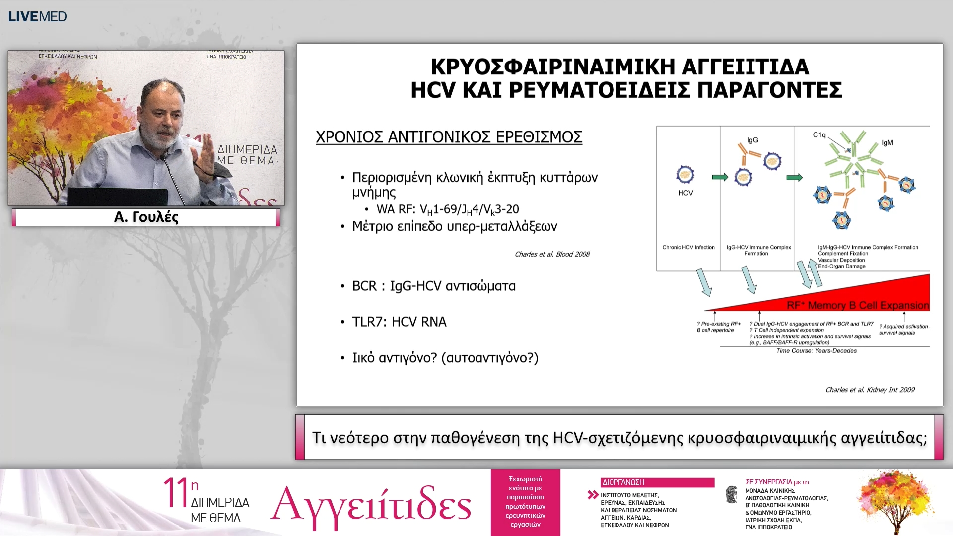 14 Α. Γουλές - Τι νεότερο στην παθογένεση της HCV-σχετιζόμενης κρυοσφαιριναιμικής αγγειίτιδας;