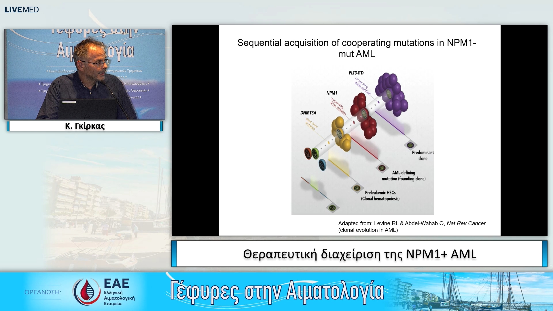 08 Κ. Γκίρκας - Θεραπευτική διαχείριση της NPM1+ AML