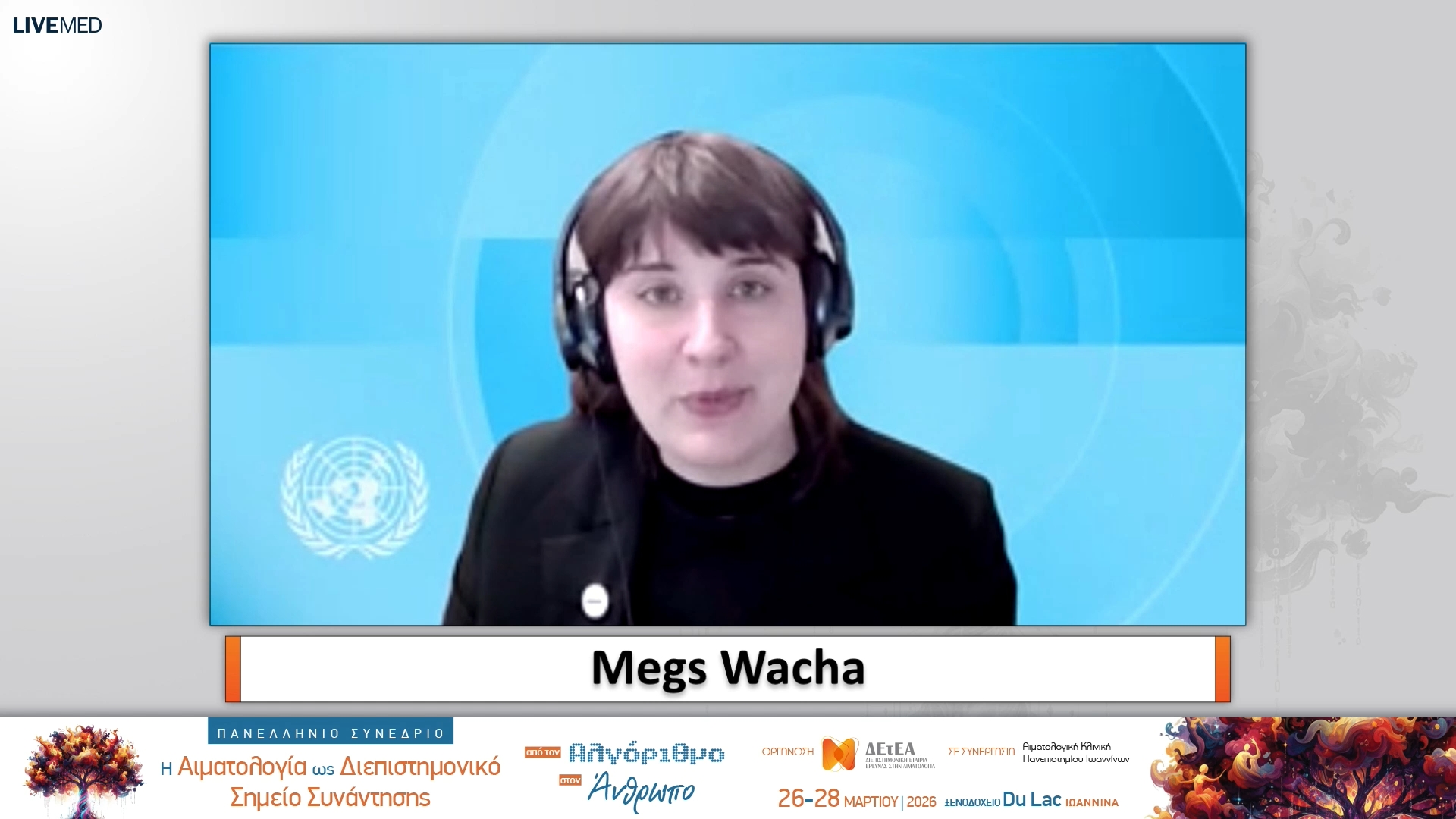 06 Megs Wacha, Ηνωμένα Έθνη