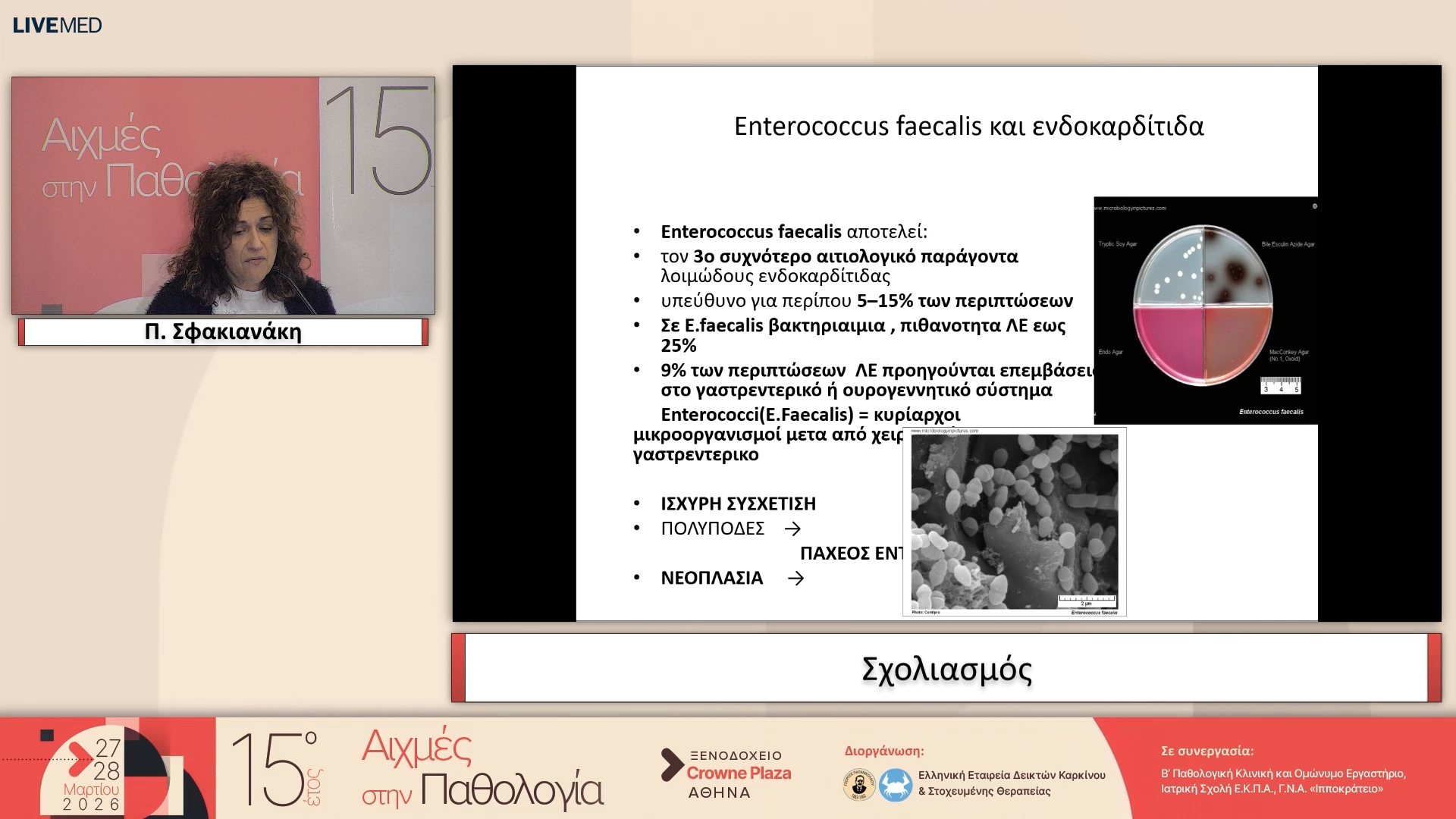 08 Π. Σφακιανάκη