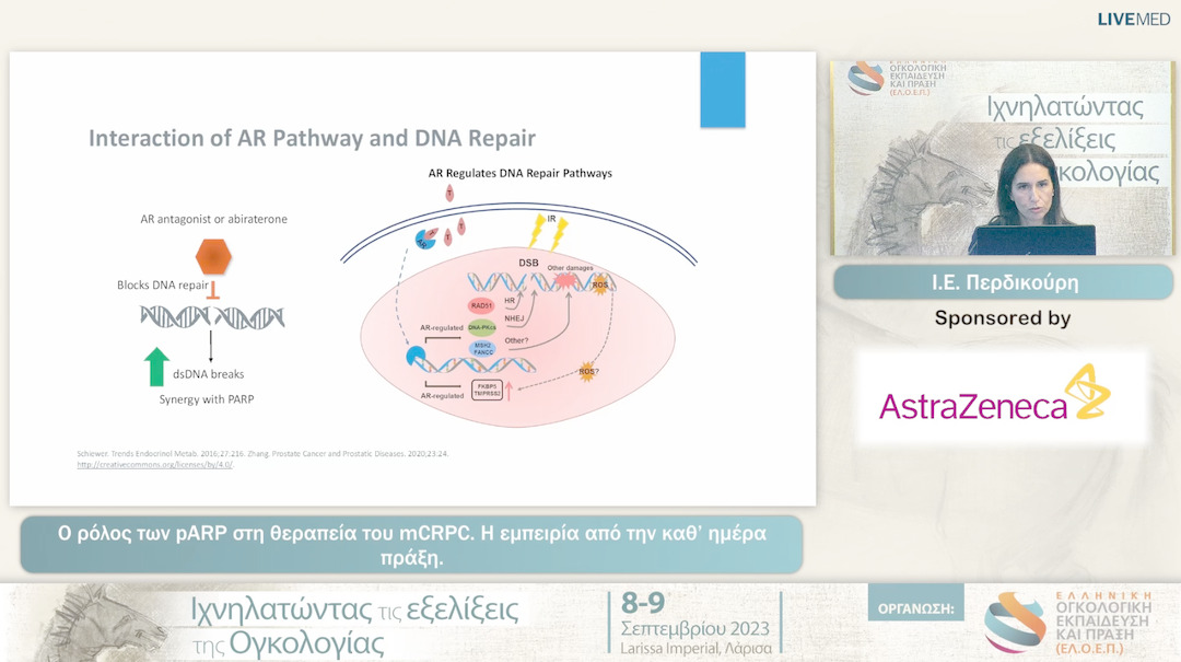 13  Ι.Ε. Περδικούρη - Ο ρόλος των pARP στη θεραπεία του mCRPC. Η εμπειρία από την καθ’ ημέρα πράξη. 