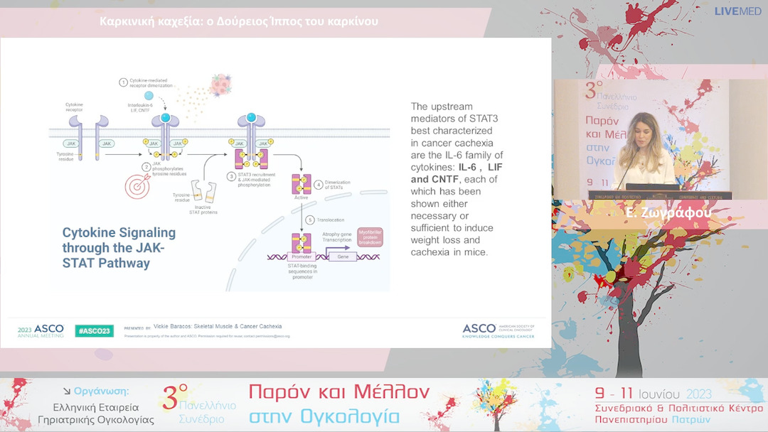 12 Ε. Ζωγράφου - Καρκινική καχεξία: ο Δούρειος Ίππος του καρκίνου 