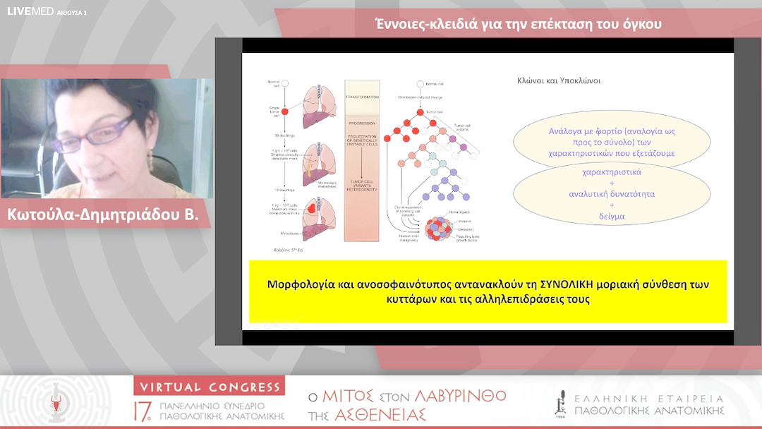 60 Κωτούλα-Δημητριάδου Β. - Έννοιες-κλειδιά για την επέκταση του όγκου