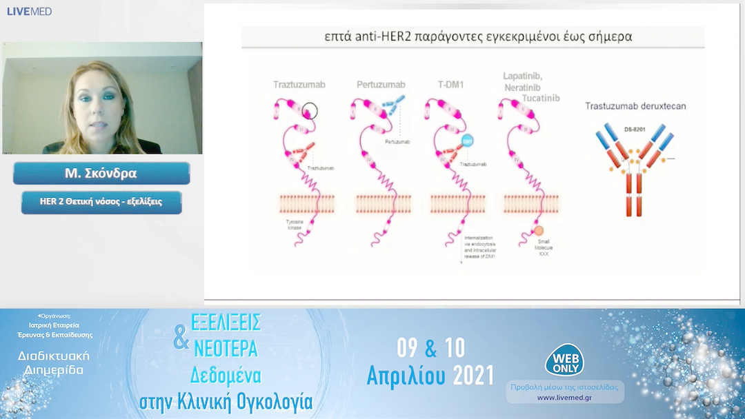 13 Μ. Σκόνδρα - HER 2 Θετική νόσος - εξελίξεις